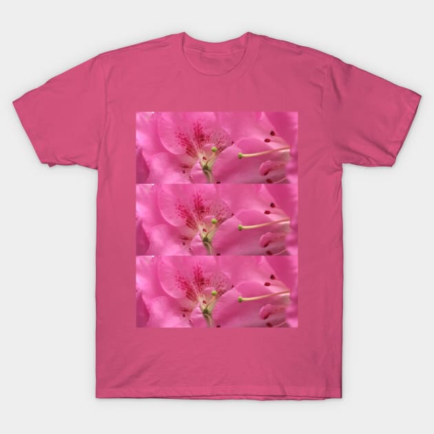 Up Close Azaleas T-Shirt by Amanda1775